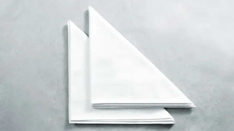 Different Types of Paper Napkins for Restaurants